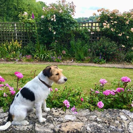 Rosemary Cottage Hooe エクステリア 写真